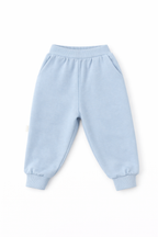 Kids Bear Print Crewneck Sweatshirt – Blue & Cream Raglan Long Sleeve