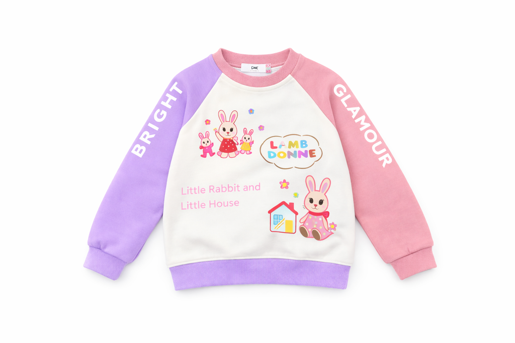 Kids Bunny Graphic Sweatshirt, Colorblock Raglan Pullover - Pink/Lavender